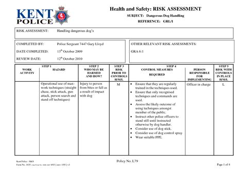 Risk Assessment Matrix Police Pursuit | Assessment, Risk management, Risk