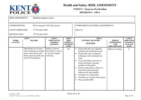 Risk Assessment Matrix Police Pursuit