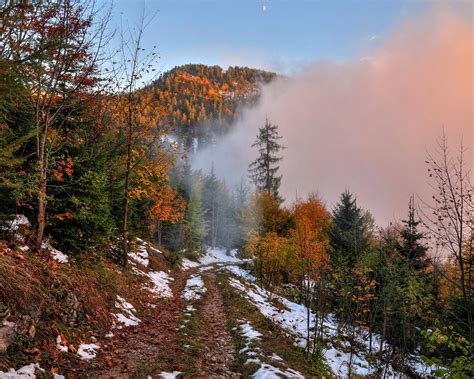 Wallpaper Autumn Mountain Footpath Snow Forest Trees Fog Dawn