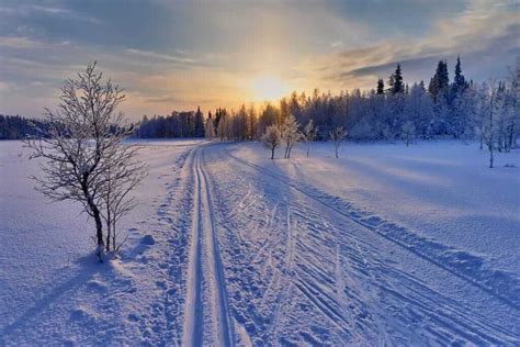 Finland is a country of snow and the best time to visit winter wonderland is snowy period from december through march. 20 Mesmerizing Winter Wonderland Photos of Finland