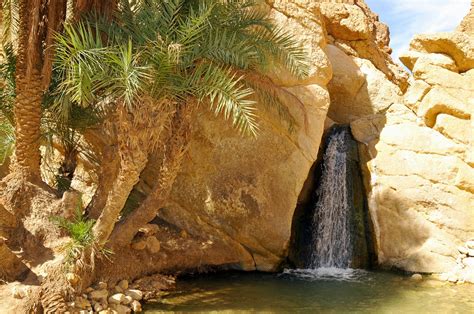 Tunisie Elu Plus Beau Pays Du Monde - Les plus beaux endroits a visiter a Tozeur - Tunisie Voyage et Loisir