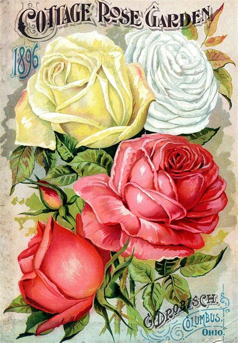 Vintage Roses 21 Vintage Roses Ксения Размадзе Flickr
