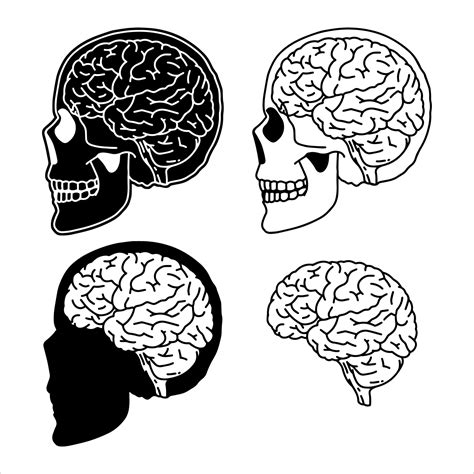 Cerebro Preto E Branco