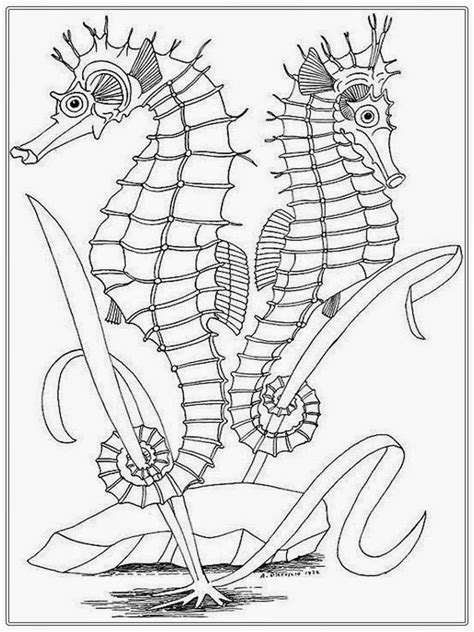 For instance, pink can be a shooting color, though only if you use the. Seashore Adult Coloring Pages - Coloring Home