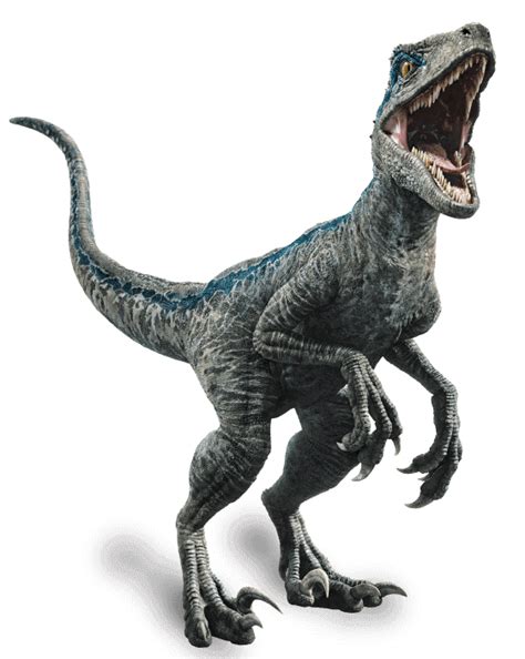 Jurassic World Fallen Kingdom Velociraptor Blue By Sonichedgehog2 On