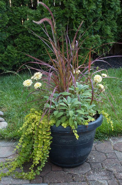 Container Gardening Recipes The Honeycomb Home