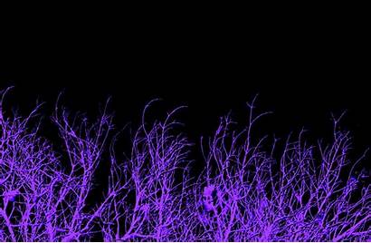 Purple Dark Background Glow Wallpapers Backgrounds Aesthetic