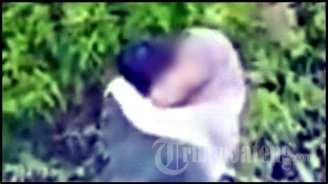 viral sejoli mesum di kebun teh terekam cctv saat ciuman mesra polisi usut pelakunya