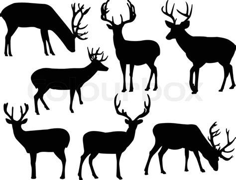 Deers Silhouette Collection Vector Stock Vector Colourbox