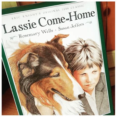 The True Story Of Lassie Americas Classic Collie Bark Post