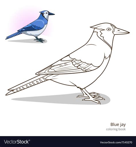 blue jay coloring page unique blue jay dot to dot coloring pages my xxx hot girl