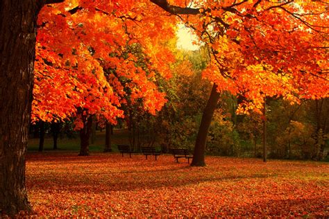 Automne Season Nature Landscapes Rain Fall Wallpapers Leaf