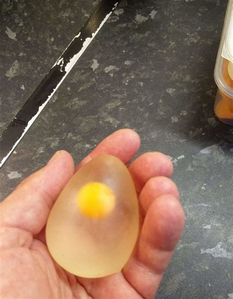 Heres What A Raw Egg Looks Like Without Its Shell Eggs Aloe Vera