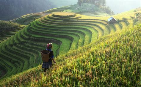 10 Provinsi di Indonesia Dengan Lahan Pertanian Terbesar
