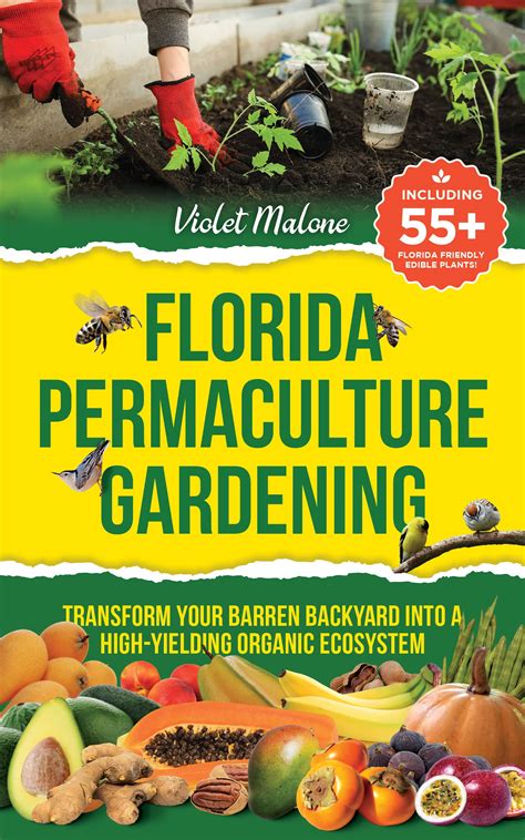 Florida Permaculture Gardening: Transform your Barren Backyard into a