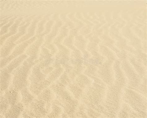 Sand Ripples In A Desert Stock Photo Image Of Pattern 39513808