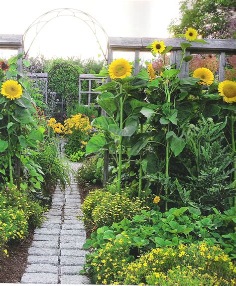 Along The Brick Path Through The Vegetable Garden Bloom