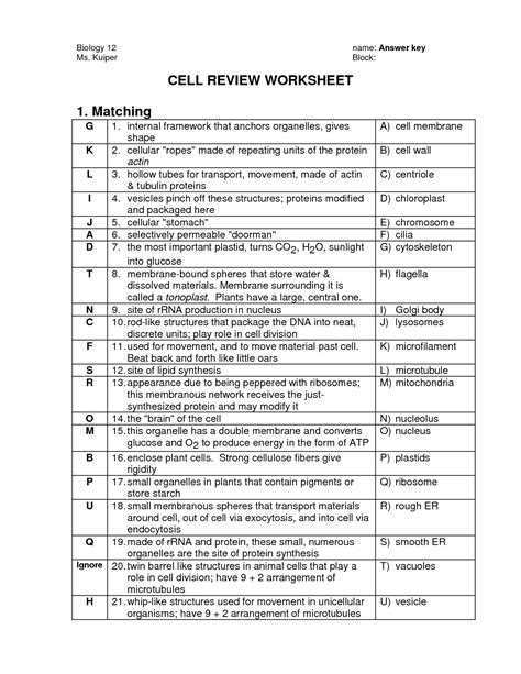 __iso_____tonic means there is the same concentration of solute molecules outside the cell as inside. 13 Best Images of Parts Of A Plant Cell Worksheet - Plant ...