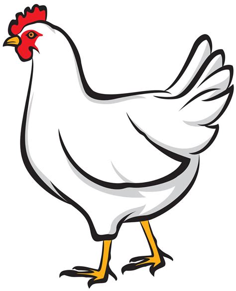 Free Download Vector Chicken Clipart Best