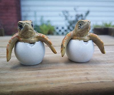 Wonderful Turtle Gifts Guaranteed To Make A Splash With Any Turtle Lover