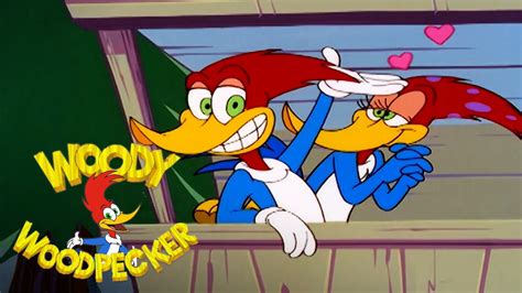 Woodys New Girlfriend Woody Woodpecker Youtube