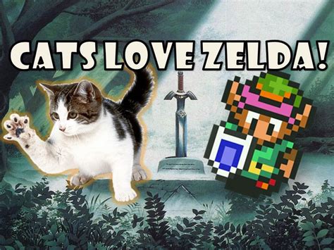 My Cat Loves The Legend Of Zelda Youtube