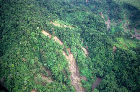 Ariel Views Of Logging And Deforestation Leyte The Philippines