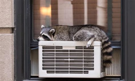 Usually, old air conditioners can result in some commonly faced problems, and you will be tempted to go for a replacement. How does a Window Air Conditioner Work? (6 Steps to Cool)