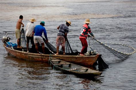 Impulsan Crear Ley De Acuacultura Y Pesca Sustentables Del Estado El
