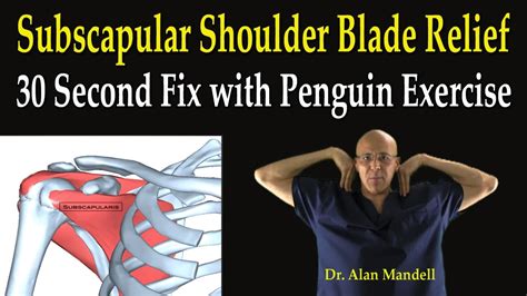 Exercises For Trapped Nerve In Shoulder Blade Online Degrees