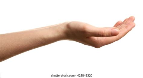 Open Palm Hand Gesture On White Stock Photo 425843320 Shutterstock