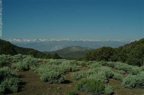 Free Campgrounds Ancient Bristlecone Pine Forest In Inyo National Forest