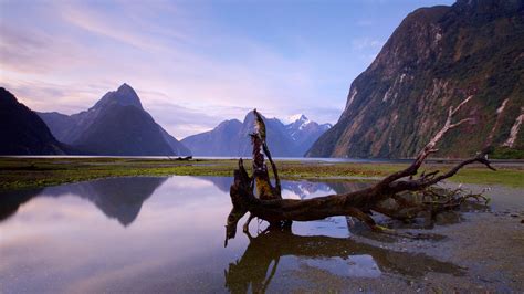 Besøk Fiordland Nasjonalpark Opplev Det Beste Av Fiordland