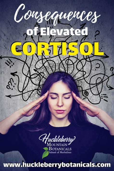 Consequences Of Elevated Cortisol Cortisol Herbalism Holistic Health