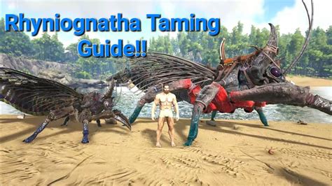 How To Tame Rhyniognatha Easy Ark Survival Evolved New Dino Youtube