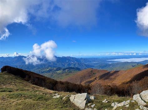 Le biblioteche di fondazione per leggere Il Sole anche di notte: 19/20 giugno 2021 - Guide del Pennato