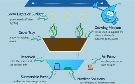 Parts Of A Basic Hydroponic System Diagram Simple Soil Hydroponics