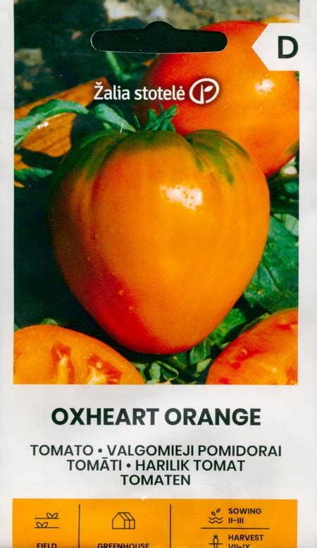 Big Tomato Oxheart Orange Seeds
