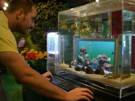 Computer Screen Fish Tank Photo