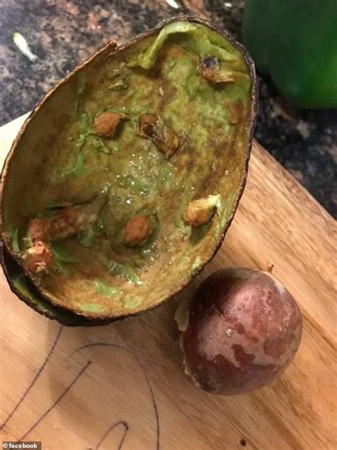 Shopper Is Left Baffled By Mystery Lumps In Her Avocado Express Digest