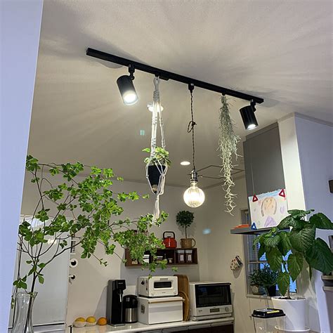 ダクトレール 吊り下げ観葉植物のおすすめ商品とおしゃれな実例 RoomClipルームクリップ