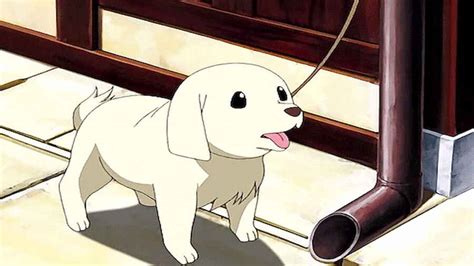 Top 50 Best Anime Dogs Most Popular Of All Time