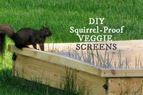 How To Make Squirrel Screens For Raised Garden Beds