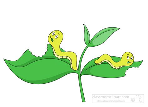 Leaf Worm Clipart 20 Free Cliparts Download Images On Clipground 2021