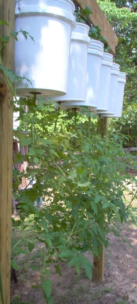 Diy Hanging Tomato Planter Diy Upside Down Tomato Planter With A