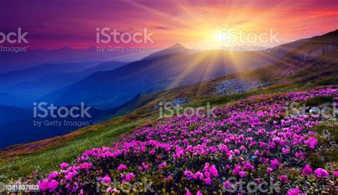 Mountain Landscape Stock Photo Download Image Now Sunrise Dawn