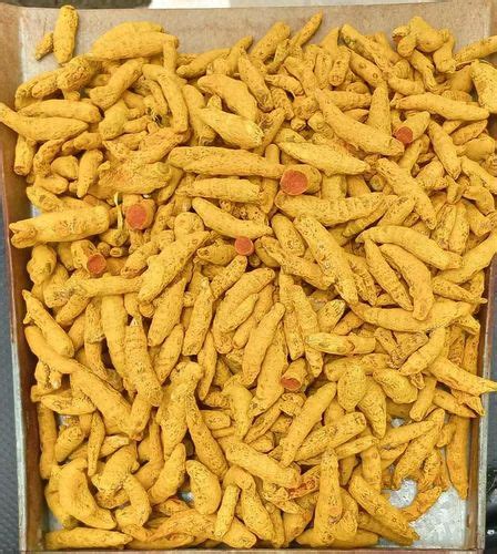 Erode Double Polished Bold Turmeric Finger 25 Kg At Best Price In Erode