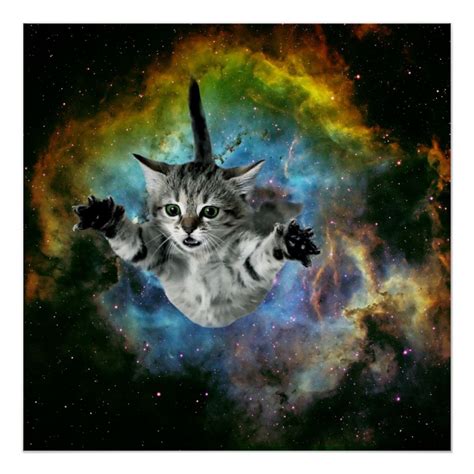 Galaxy Cat Universe Kitten Launch Poster In 2020 Galaxy