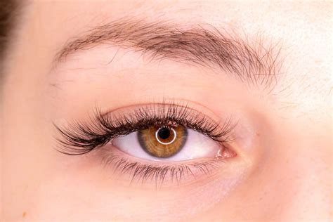 Can You Wear The Cat Eyelash Extension Style The Lash Spa Gold Coast