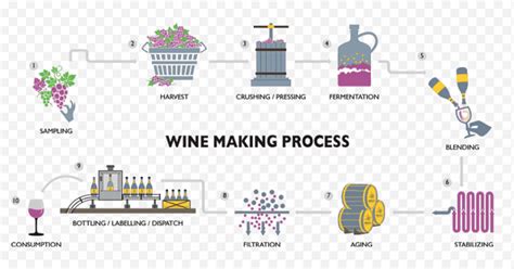 In Wine Making What Is The Must The Juice Drawn From The Grapes But Not